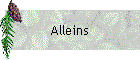 Alleins