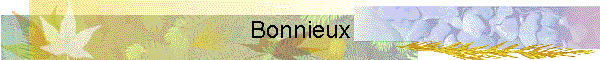 Bonnieux