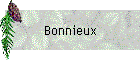 Bonnieux