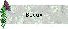 Buoux