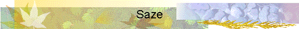 Saze